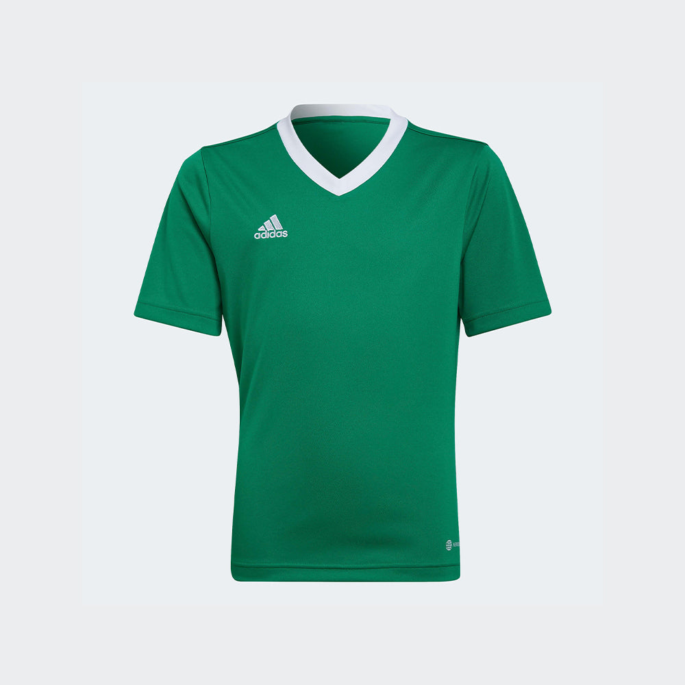 adidas YOUTH Entrada 22 Jersey Green-White (Front)