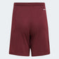 adidas YOUTH Squadra 21 Shorts Maroon-White (Back)