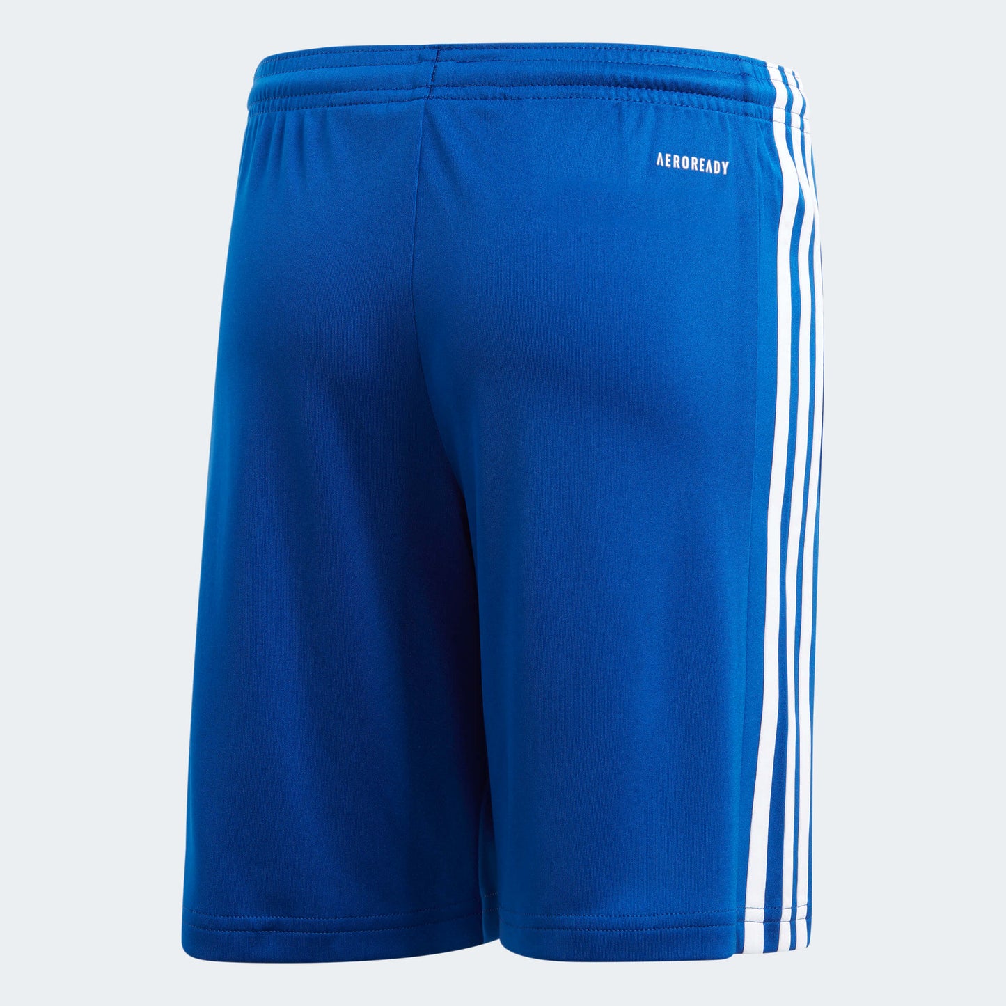 adidas YOUTH Squadra 21 Shorts Royal-White (Back)