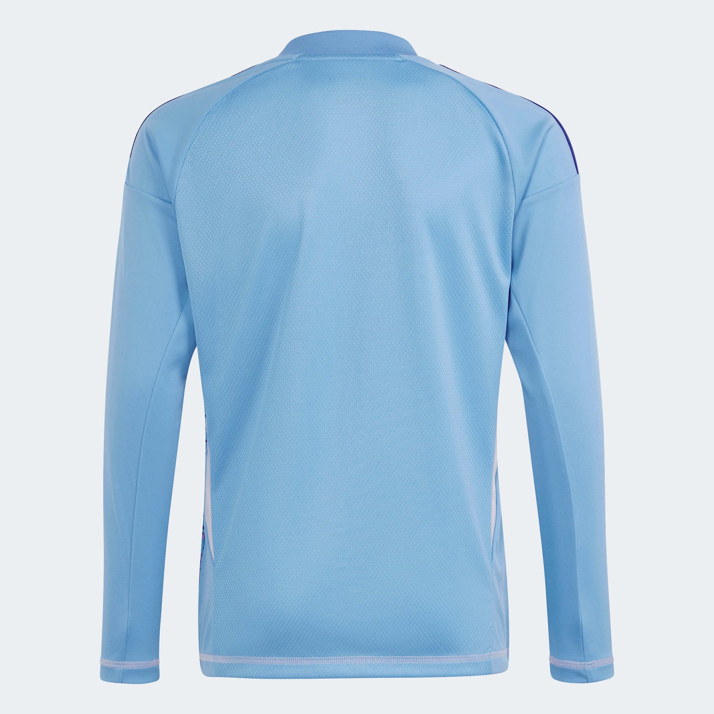 adidas YOUTH Tiro24 Competition Goalkeeper Jersey L-S Semi Blue Burst (Back)