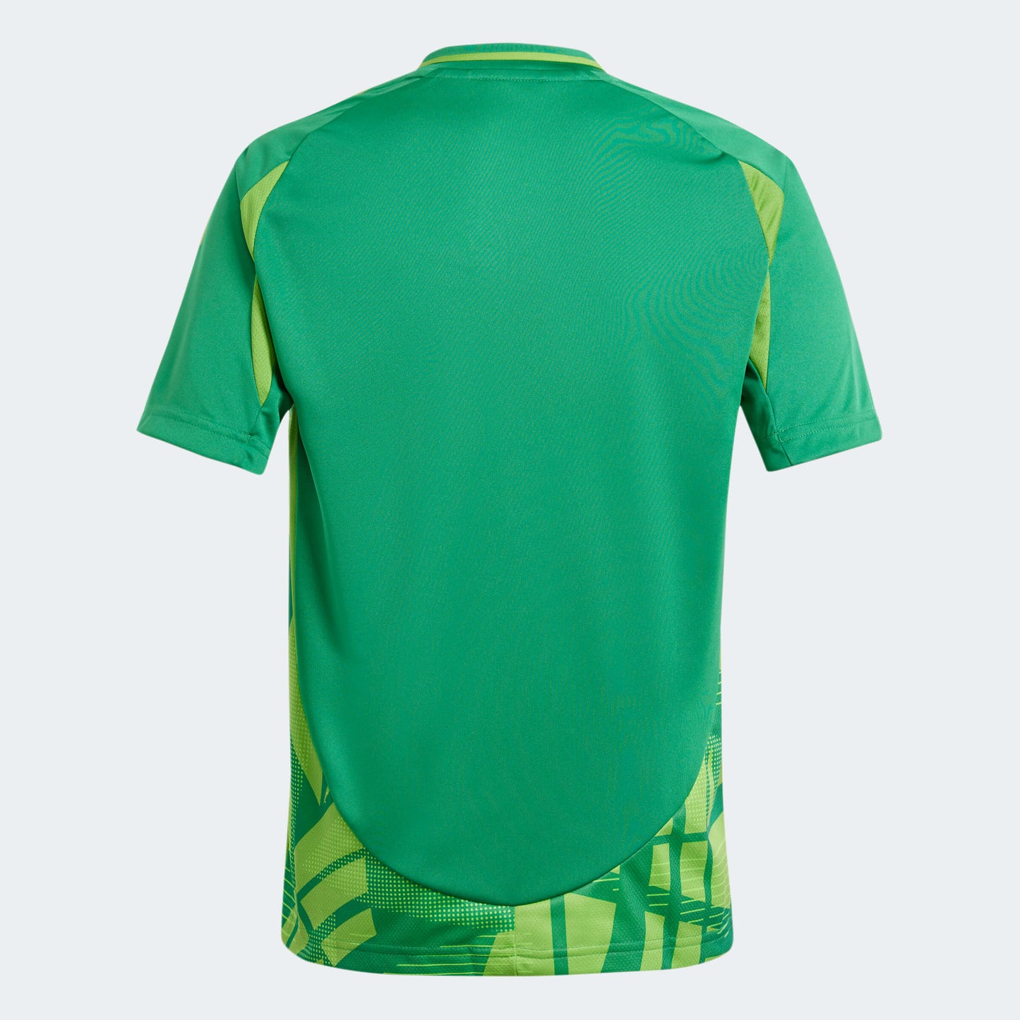 adidas YOUTH Tiro24 Competition Match Jersey Team Green (Back)