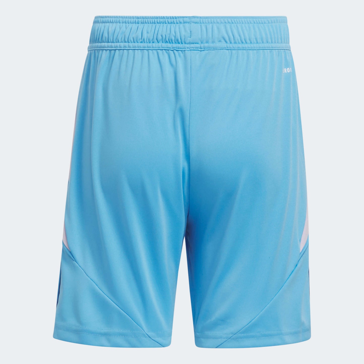 adidas YOUTH Tiro24 Short Semi Blue Burst-Team Royal Blue (Back)