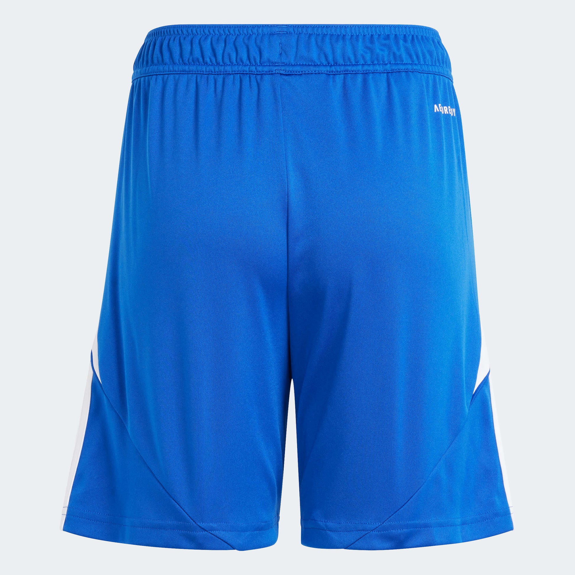 adidas YOUTH Tiro24 Short Team Royal Blue-White (Back)