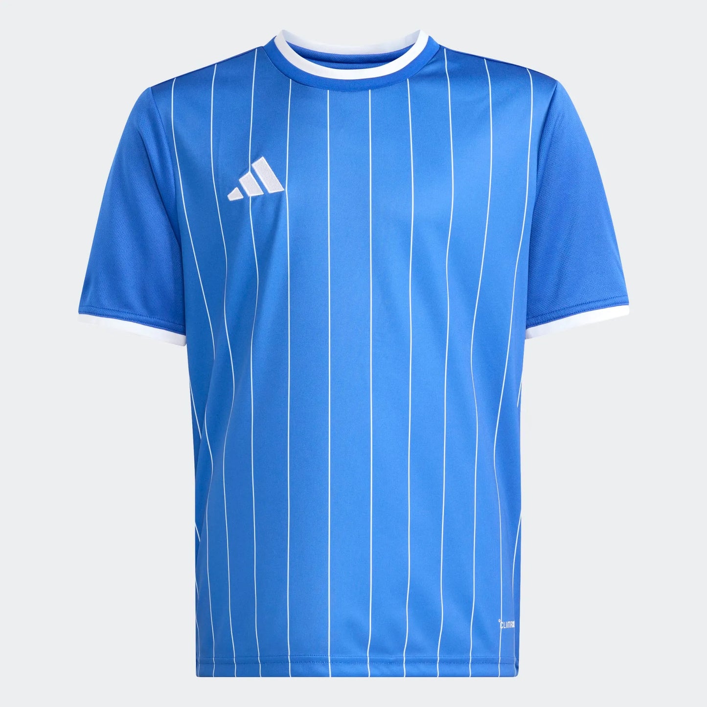 adidas Youth Entrada 26 Graphic Jersey