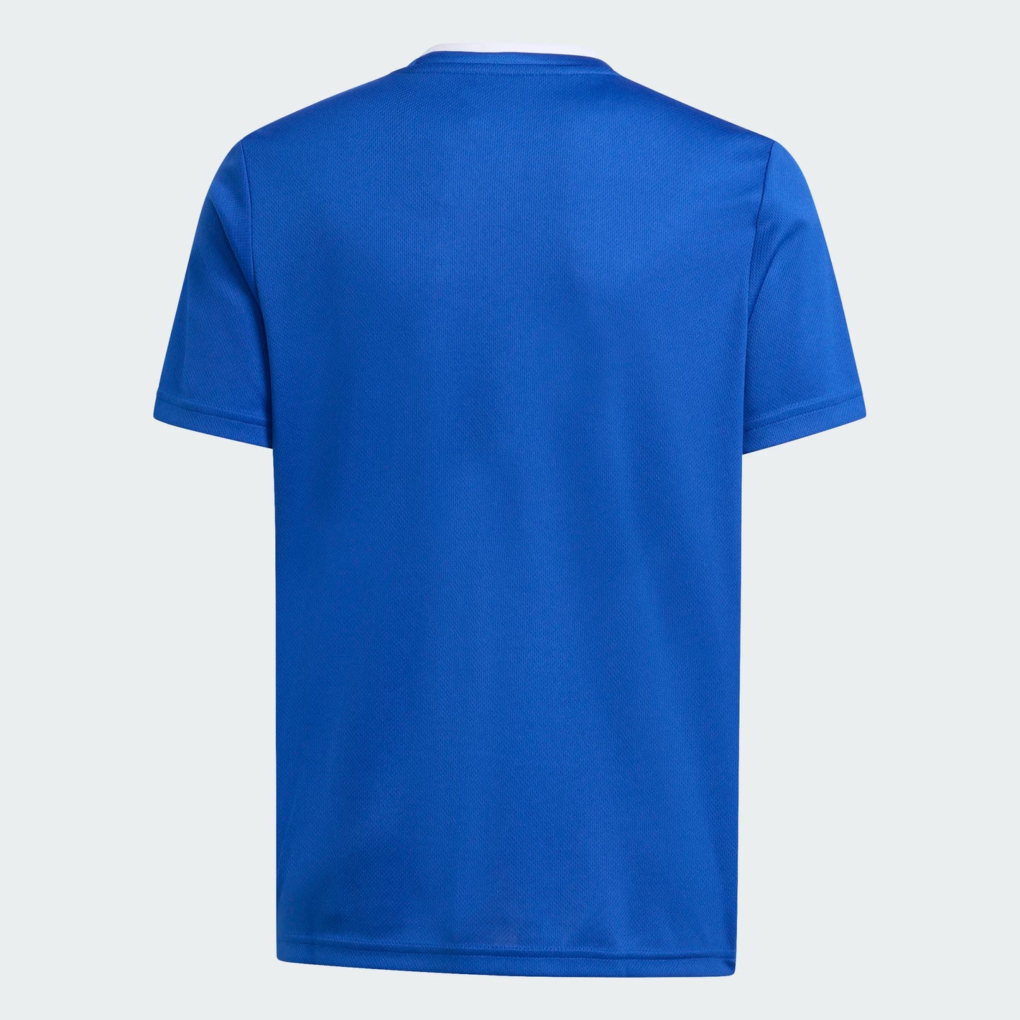 adidas Youth Entrada 26 Polyester Tee Team Royal Blue back