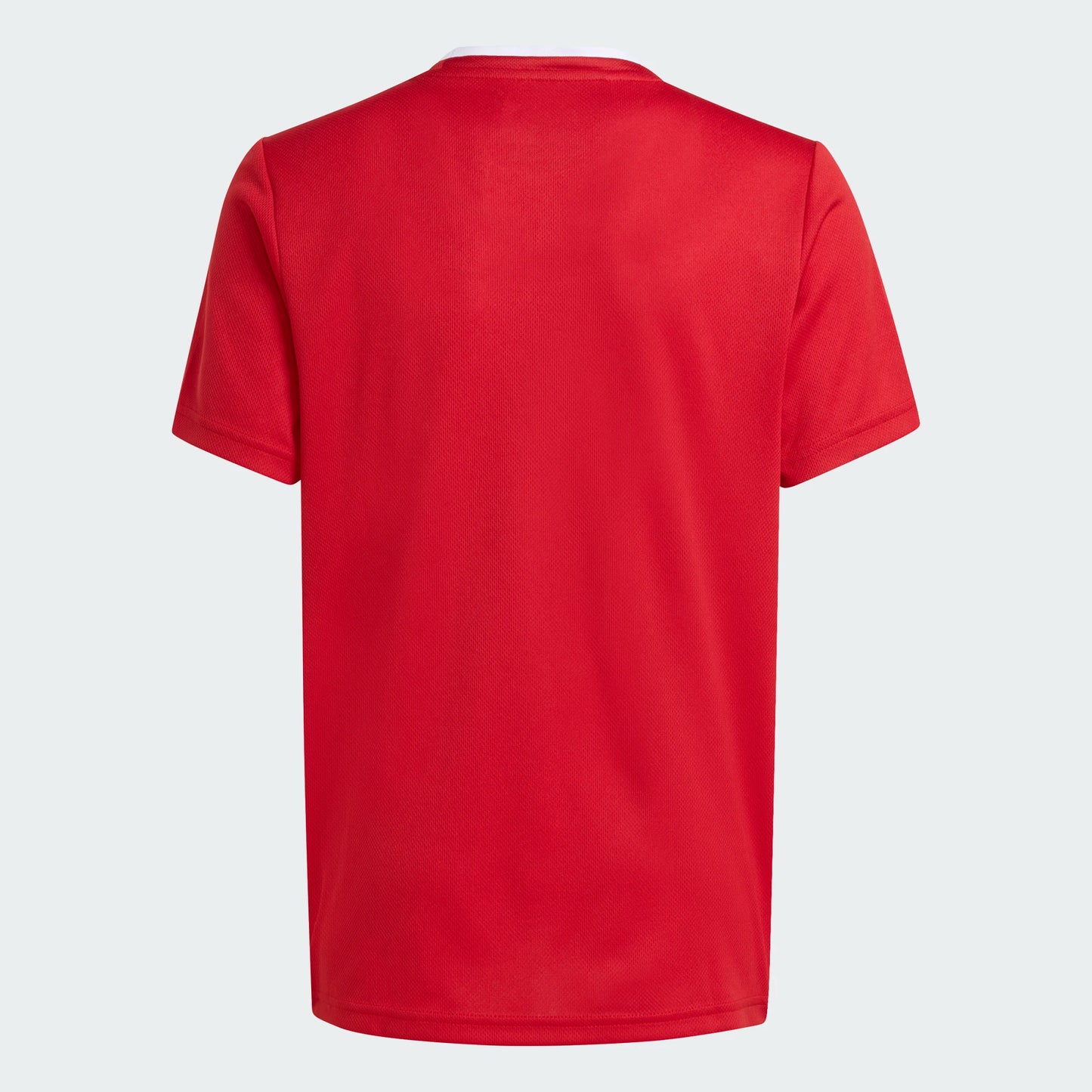 adidas Youth Entrada 26 Polyester Tee Team Power Red back