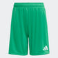 adidas Youth Entrada 26 Shorts