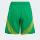 adidas Youth Tiro24 Competition Match Short Team Green (Back)