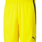 Puma Team Liga 25 Shorts-Yellow