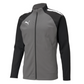 Puma Team Liga 25 Training Jacket-Gray