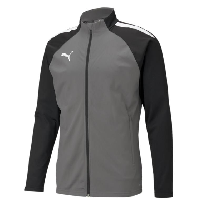 Puma Team Liga 25 Training Jacket-Gray