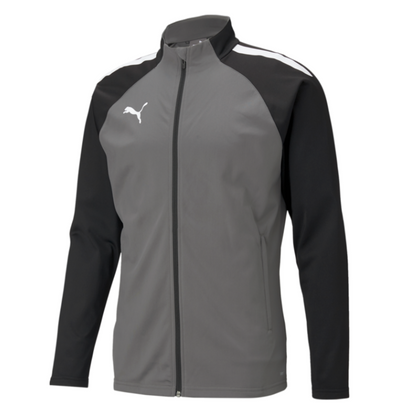Puma Team Liga 25 Training Jacket-Gray