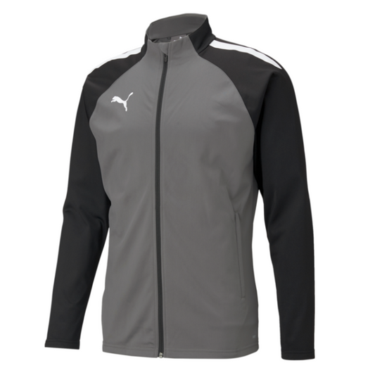 Puma Team Liga 25 Training Jacket-Gray