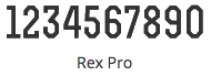 Rex Pro