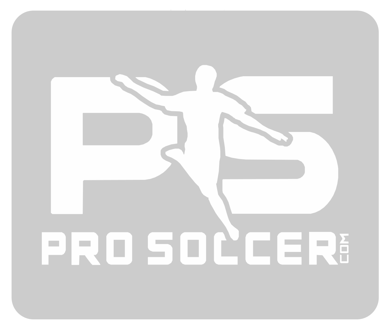 PS Logo Below